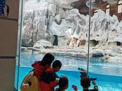 -帝企鹅自助餐厅•儿童岛•真企鹅(长隆企鹅酒店)