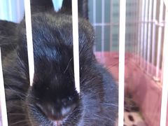 -藦茜花园宠物主题亲子互动体验馆(国顺东路店)