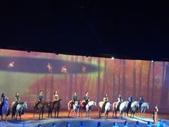 -cavalia·舞马