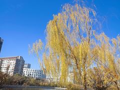 -迎泽公园