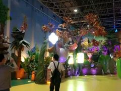 -横店影视城梦幻谷园区