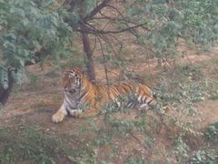 -石家庄市动物园