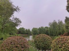 -南阳建业森林半岛假日酒店