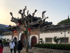 -溪口-滕头旅游景区