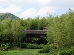 -大唐贡茶院