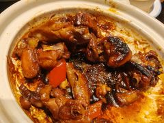 -金狮麟·新豫菜(金码大厦店)