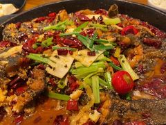 -老板恋上鱼(印象城店)