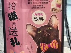-飞行喵MR PILOT|猫舍·猫咖(静安大融城店)