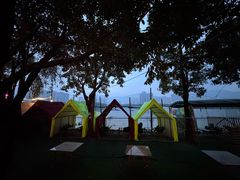 -飞来湖湿地公园