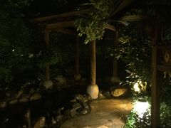 -张家港金凤凰度假村温泉