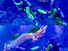 -海合安青岛极地海洋公园