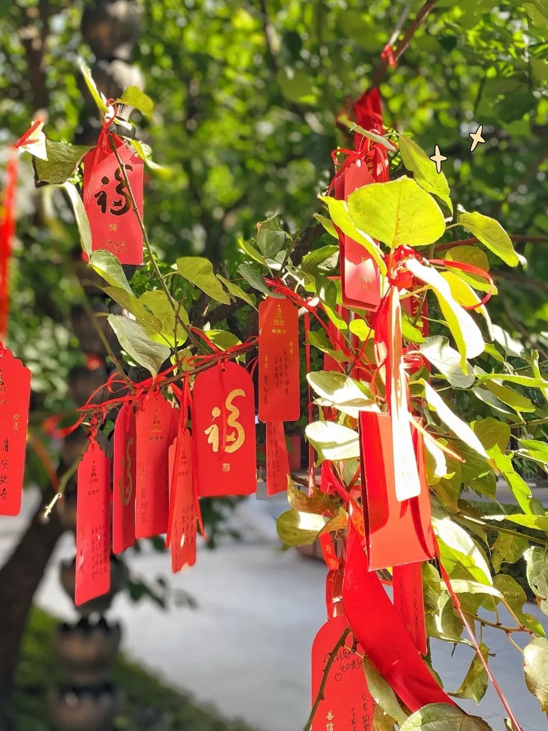 玉佛禅寺祈福‼️请"福"字回家✨🌾