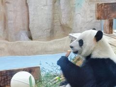 -无锡动物园·太湖欢乐园