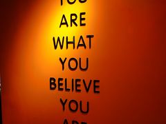 -健身专家Wellness Experts