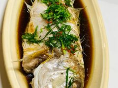 -福建美食城(老君堂店)