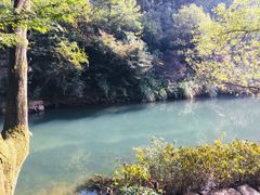 -杭州花家山庄
