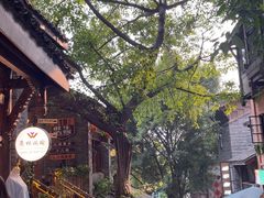 -重庆十八梯传统风貌区