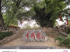 -大槐树寻根祭祖园