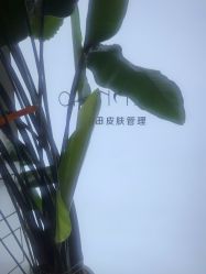-春田皮肤管理中心品牌旗舰店
