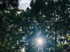 -帽儿山国家森林公园