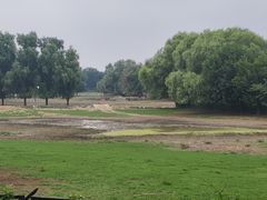 -北京麋鹿生态实验中心