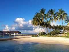 -中央格兰德岛温泉度假酒店 - 全包