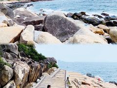 -广东惠东海龟国家级自然保护区