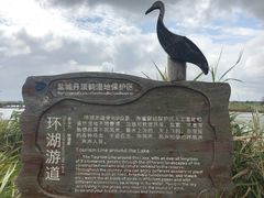 -盐城丹顶鹤湿地生态旅游区