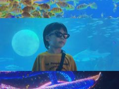 -海合安成都极地海洋公园