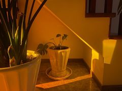 -经福元·推拿·艾灸(广兰路店)