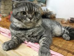 -大天然酒店(军民路店)