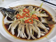 -煲来饱去冷水鱼
