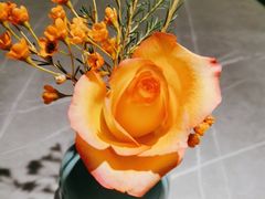 -Carbon喜神小厨·创意江南菜(国大城市广场店)