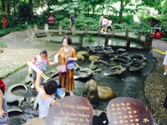 -成都市活水公园