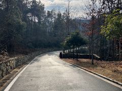 -黄陂区野村谷景区