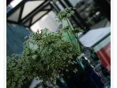-上海金陵紫金山大酒店