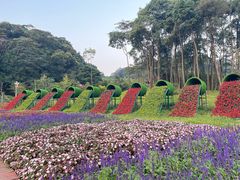 -广州市石门国家森林公园