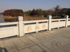 -苏州东太湖生态园