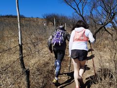 -阳台山自然风景区