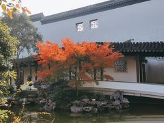 -秋霞圃