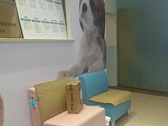 -瑞派申生动物医院·24H夜诊·国际动物医疗中心·骨外科(吴中路店)