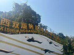 -西双版纳原始森林公园
