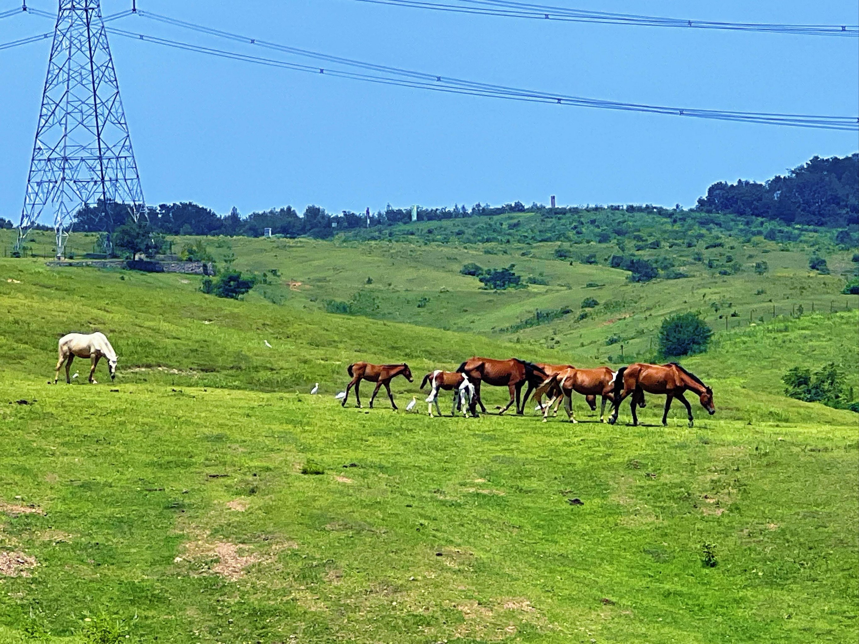 南京出发|电车自驾每周玩一地儿