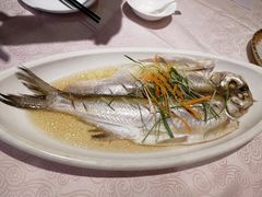 -天福苑(崇宁路店)