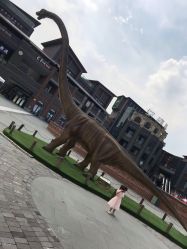 -恐龙探索乐园(磁器口店)