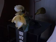 -蓉府金足印象(草市街22分店)