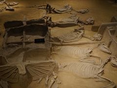 -洛阳周王城天子驾六博物馆