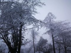 -南岳衡山风景名胜区-南岳大庙