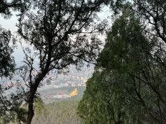 -千佛山风景名胜区