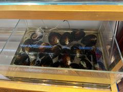 -十八字金银饰·拼豆·开蚌手工体验团建(君太百货店)